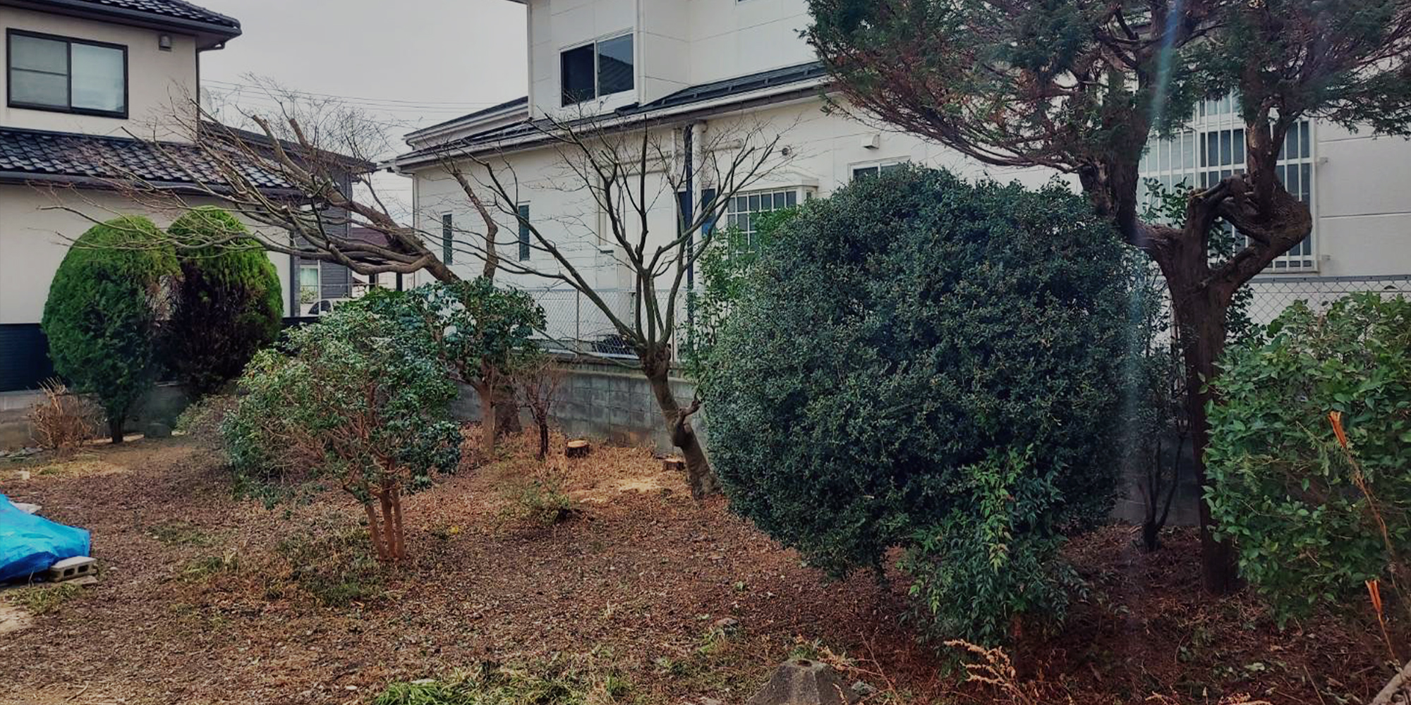 有限会社関造園