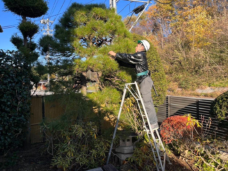 剪定工事